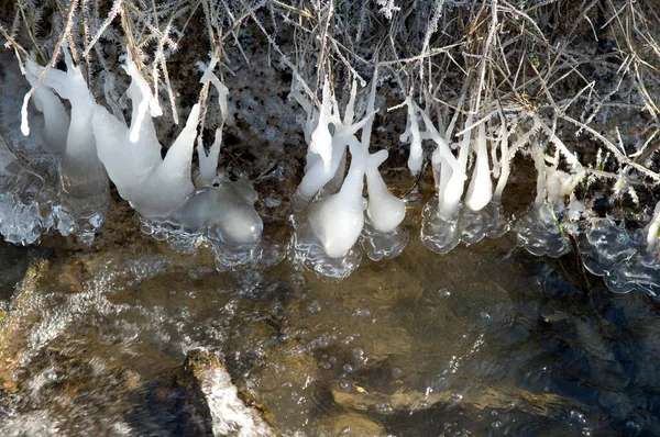 Zamrzlé Řeky Lese — Stock fotografie