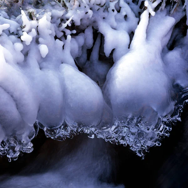 Ormanda Karla Kaplı Ağaçlar — Stok fotoğraf