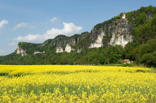 Elbsandsteingebirge Labe Fluss Sandstein — Stock fotografie