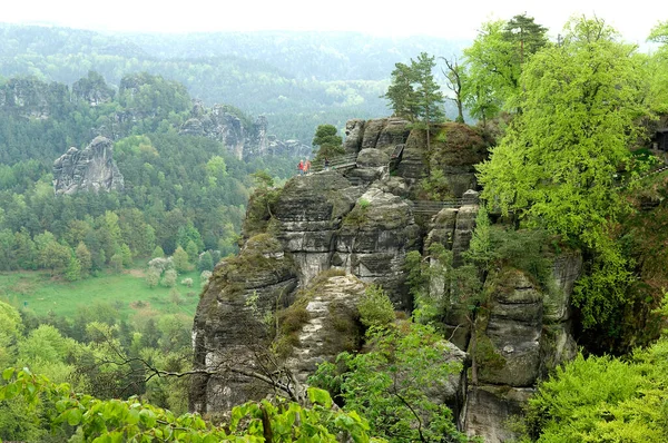 Elbsandsteingebirge Elbe Fluss Sandstein — Φωτογραφία Αρχείου