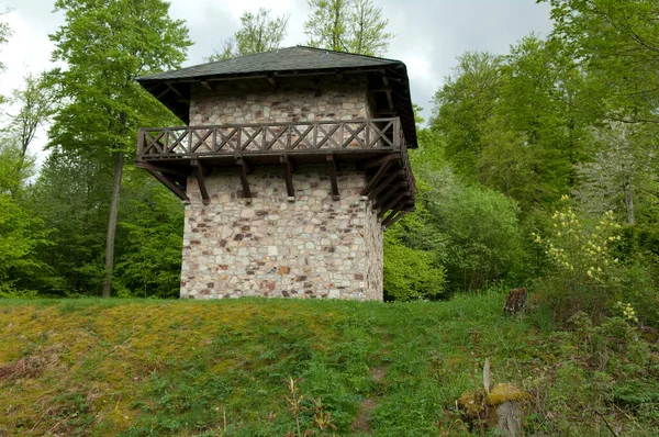 Oud Houten Huis Het Bos — Stockfoto