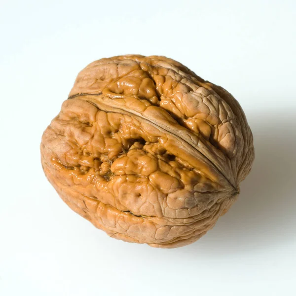 Close Walnut White Background — Stock Photo, Image