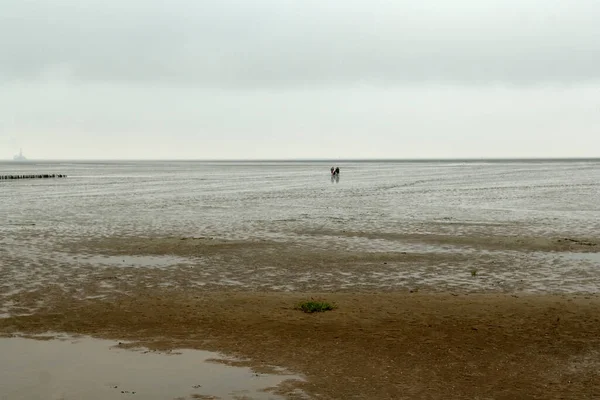 Ein Mann Spaziert Strand Der Ostsee Entlang — Stockfoto