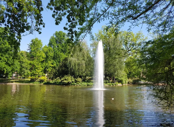 Teplejší Damm Wiesbaden Englische Parkanlage — Stock fotografie