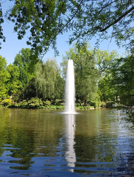 Teplejší Damm Wiesbaden Englische Parkanlage — Stock fotografie