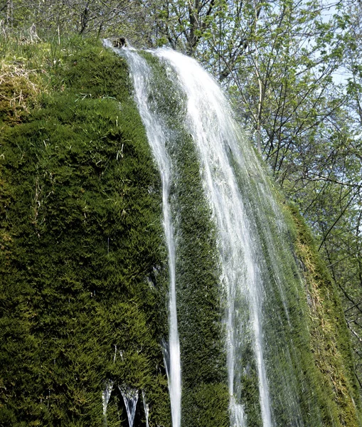 Wasserfall Wald — Stockfoto