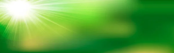 Green Grass Sun Flare Background — Stock Photo, Image