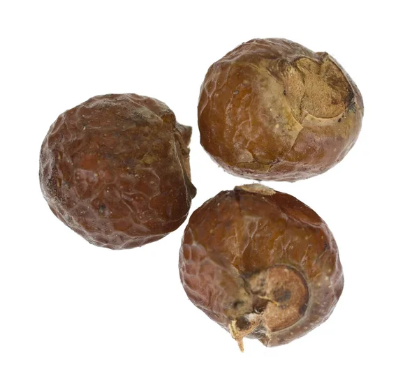 Waschnussbaum Sapindus Mukorossi Sapindus Waschnuesse — Stockfoto