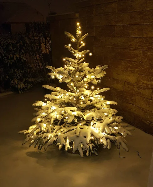 Kerstboom Met Decoraties Verlichting — Stockfoto