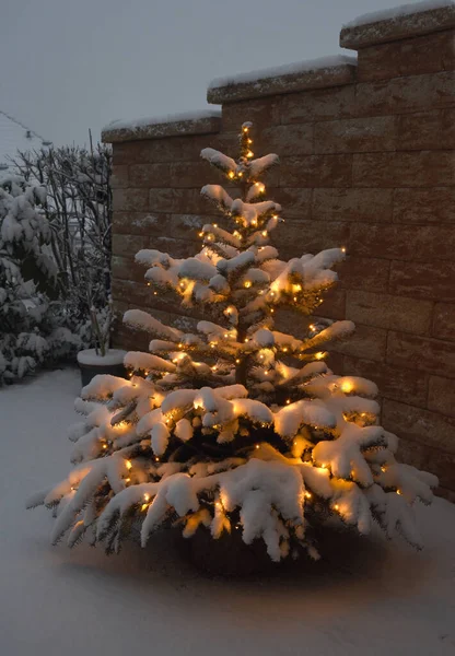雪と光のクリスマスツリー — ストック写真