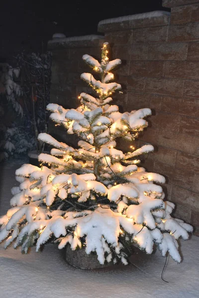 Різдвяна Ялинка Снігом Тлі Зимового Лісу — стокове фото