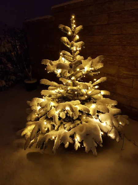 Árvore Natal Com Neve Luzes — Fotografia de Stock