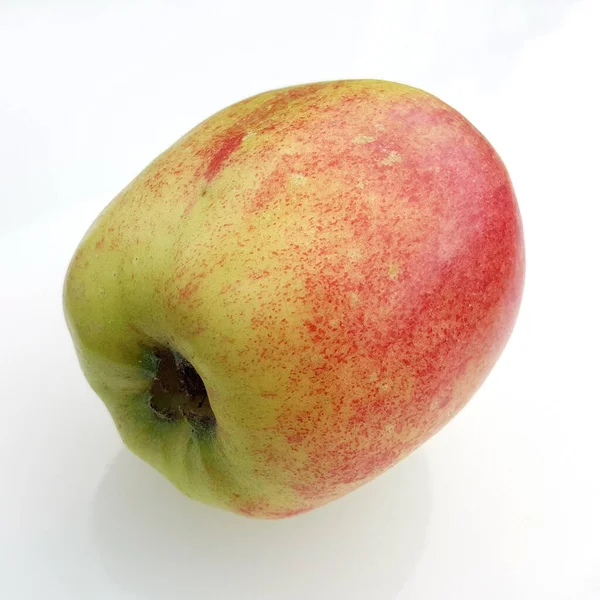 Englischer Prinz Apfel Malus Domestica Alte Apfelsorte — Stockfoto