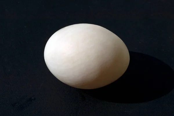 Cáscara Huevo Blanco Sobre Fondo Negro — Foto de Stock