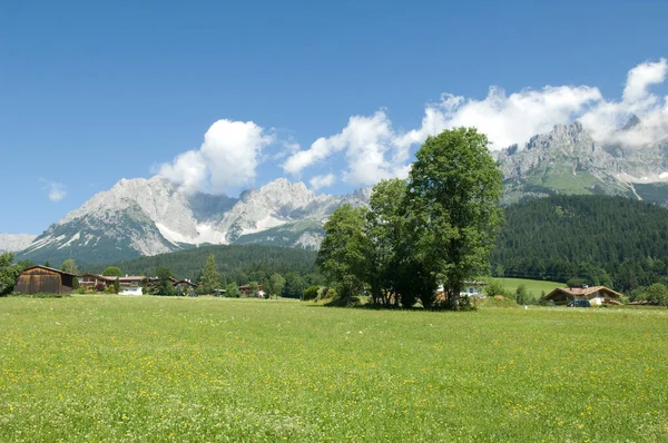 Wilder Kaiser Tirol Osterreich Gebirge Gebirgsstock — 图库照片