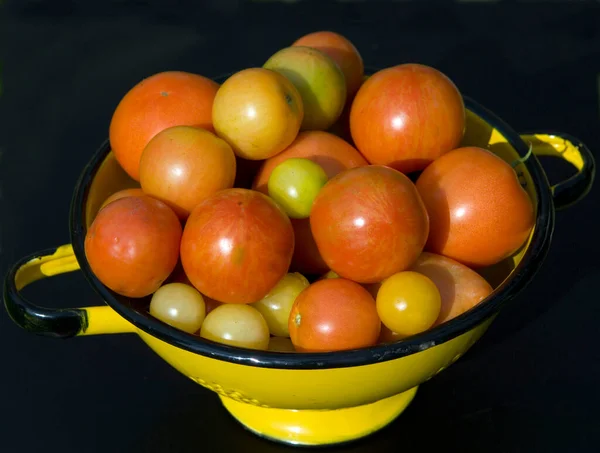在一个黑色背景的碗里放新鲜成熟的西红柿 — 图库照片