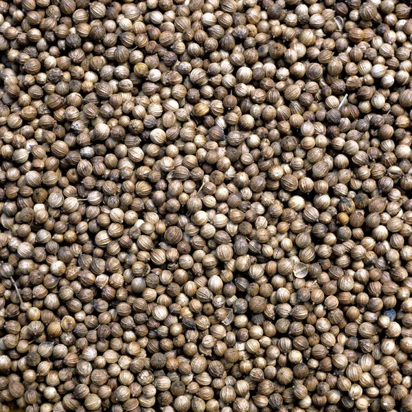 Nahaufnahme Eines Haufens Von Samen — Stockfoto