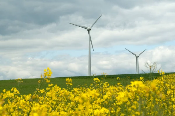 Wind Turbine Field — Stock Photo, Image