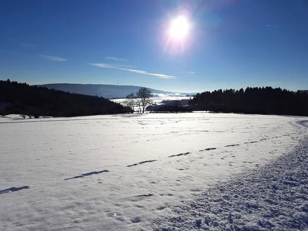 Vinterlandskap Med Snö Och Träd — Stockfoto