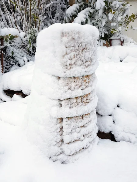 Снег Покрыт Белым Пушистым Мехом — стоковое фото