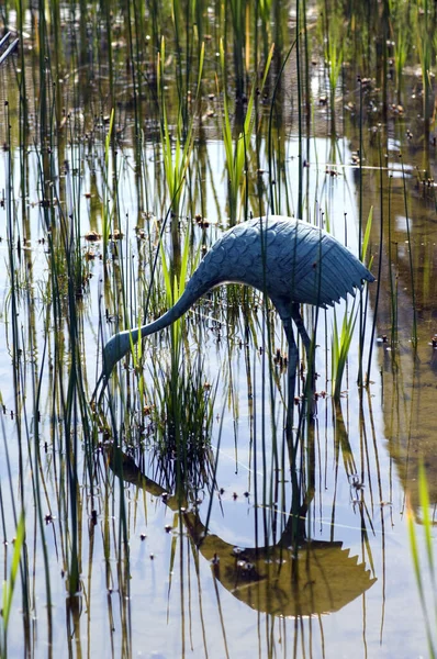 Närbild Bild Vacker Fågel Vattnet — Stockfoto