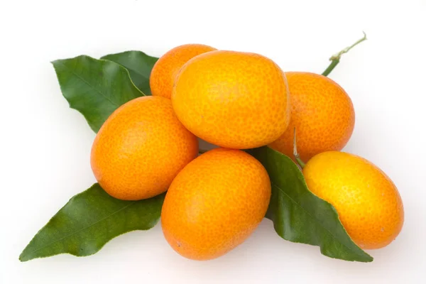 Mandarini Maturi Con Foglie Sfondo Bianco — Foto Stock