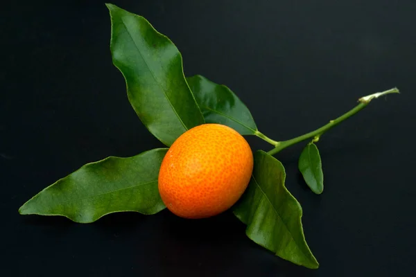 Mandarine Auf Schwarzem Hintergrund — Stockfoto