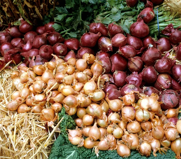 Fresh Organic Vegetables Market Stall — Stock Photo, Image