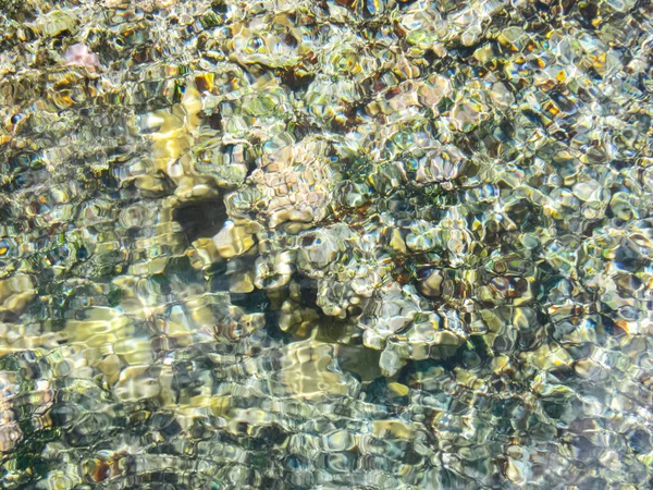 Seekorallen Küstennähe Flachen Wasser Osterinsel — Stockfoto