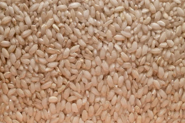 Κοντινό Πλάνο Του Ρυζιού Υφή Φόντου — Φωτογραφία Αρχείου