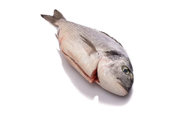 Verse Rauwe Vis Witte Achtergrond — Stockfoto