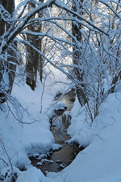 Uma Bela Paisagem Inverno Com Muita Neve Com Árvores Por — Fotografia de Stock