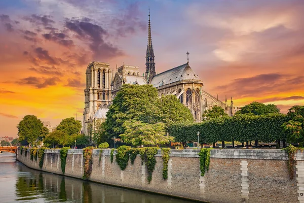 Notre Dame Cathedral Paris Francia —  Fotos de Stock