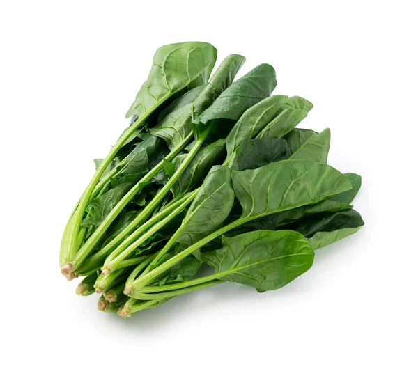 Fresh Green Spinach Leaves Isolated White Background — Stock Photo, Image
