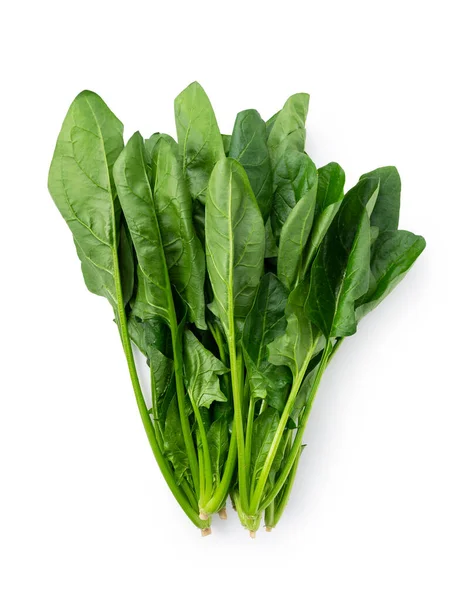 Fresh Green Spinach Leaves Isolated White Background — Stock Photo, Image