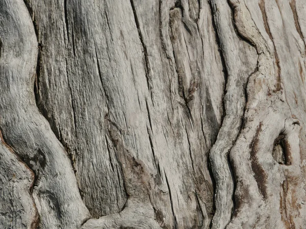 Holz Trockene Rissige Oberfläche Abstrakter Hintergrund — Stockfoto