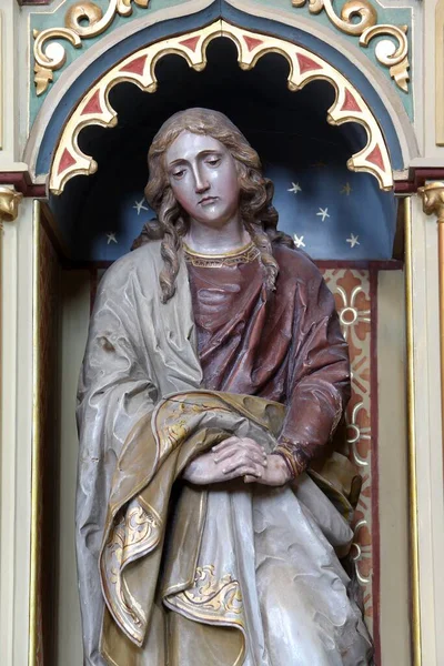 Святої Марії Магдалини Статуя Пресвятого Серця Ісуса Вівтар Церкві Святого — стокове фото
