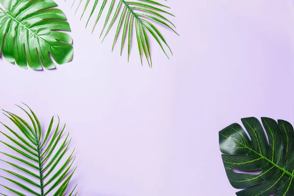 Tropische Palmenblätter Auf Weißem Hintergrund Ansicht Von Oben Flache Lage — Stockfoto