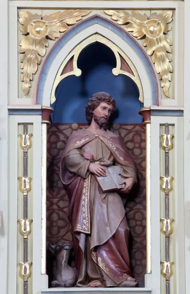 Lucas Evangelist Standbeeld Preekstoel Kerk Van Saint Matthew Stitar Kroatië — Stockfoto