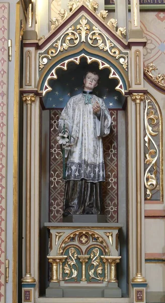 Статуя Святого Алоизия Алтаре Пресвятой Богородицы Лурдской Церкви Святого Матфея — стоковое фото