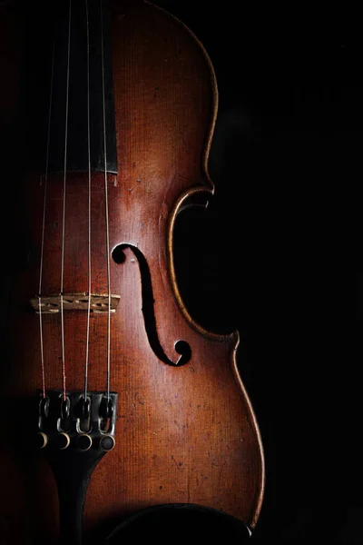 Violin Svart Bakgrund — Stockfoto