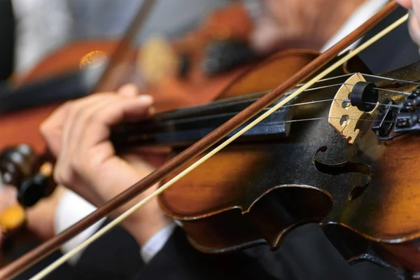 Violín Sobre Fondo Madera —  Fotos de Stock