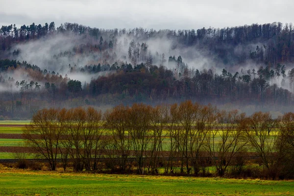 Herbstlandschaft Mit Bäumen Und Nebel — Stockfoto