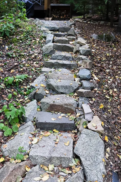Vertical picture of stepping stone steps in a forest area.
