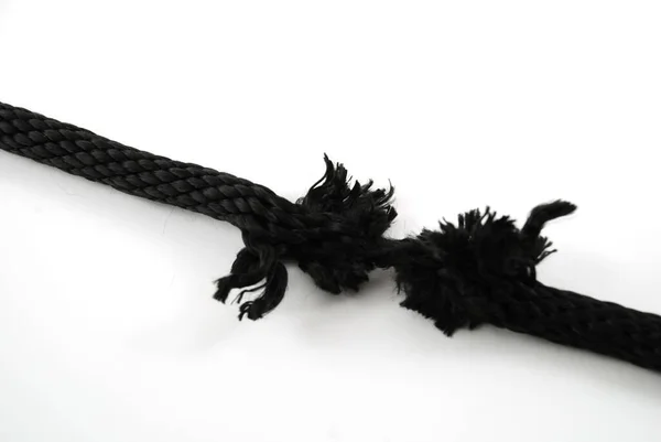 白い背景に結び目を持つロープ — ストック写真