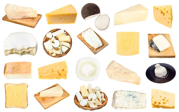 Beyaz Arka Planda Değişik Peynir Bal Fındık Üzüm Çeşitleri — Stok fotoğraf
