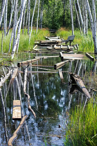 Sentier Promenade Qui Été Inondé Brisé — Photo