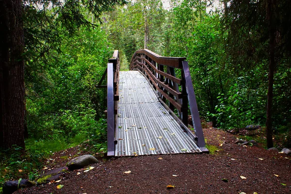 View Forest Path Leading Foot Bridge — Stock Photo, Image