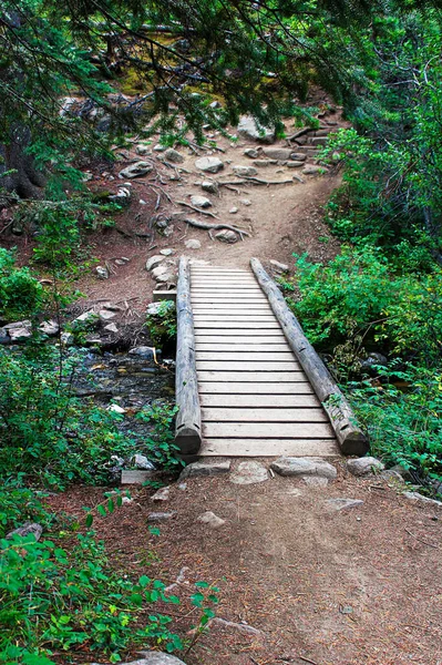 Pequeño Puente Pie Sobre Arroyo Una Ruta Senderismo — Foto de Stock