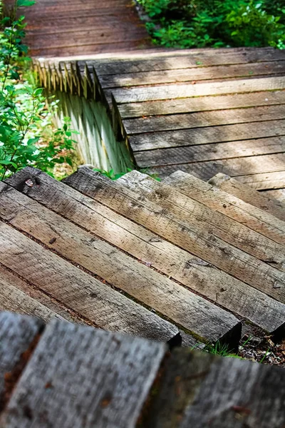 Vista Verticale Verso Basso Gradini Legno Sentiero — Foto Stock